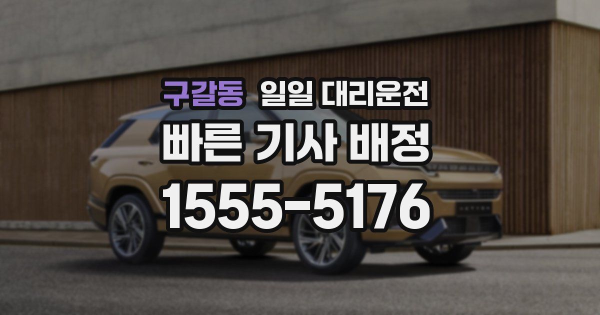 구갈동 일일 대리운전