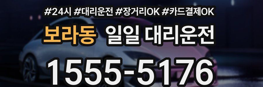 보라동 일일 대리운전