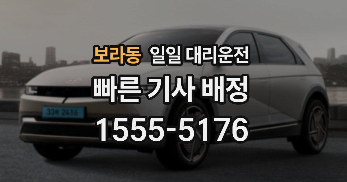 보라동 일일 대리운전