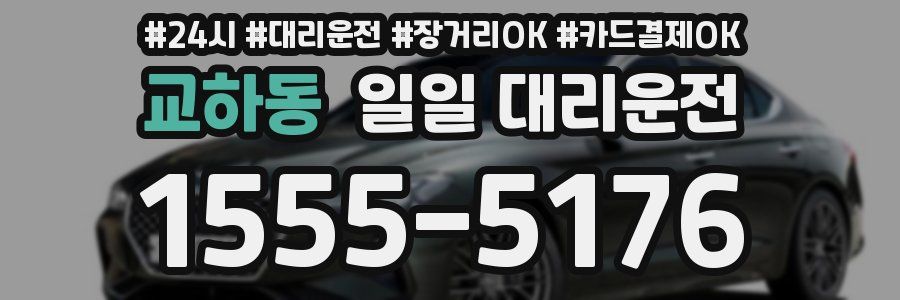 교하동 일일 대리운전