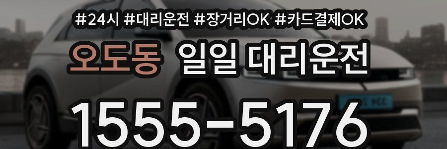 오도동 일일 대리운전