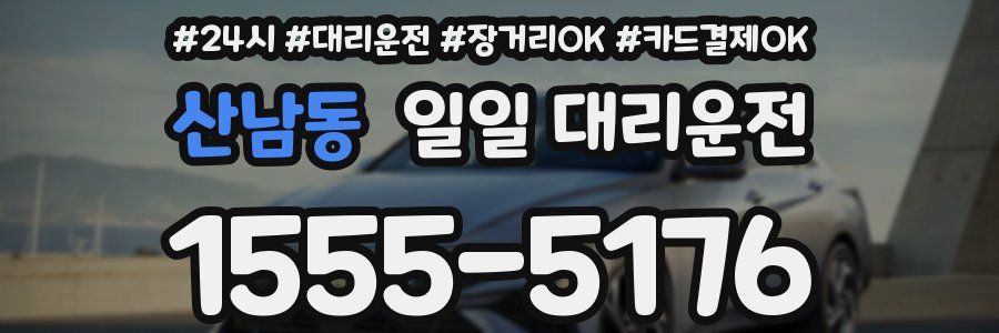 산남동 일일 대리운전