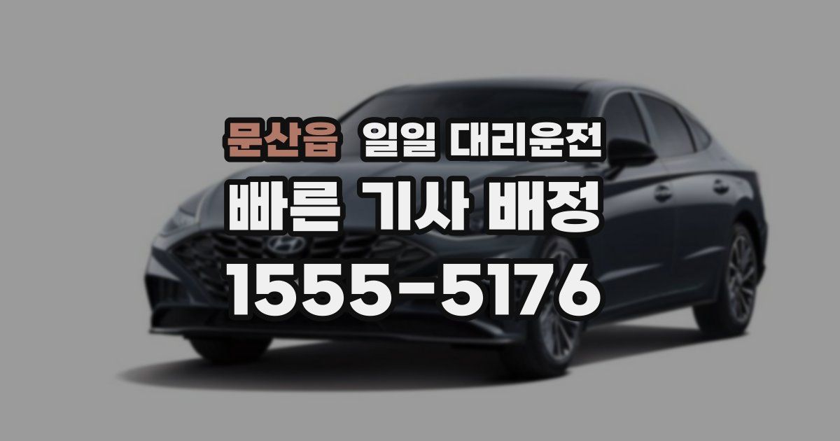 문산읍 일일 대리운전