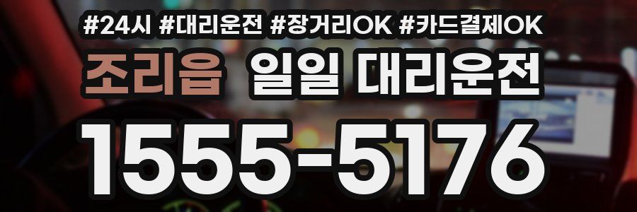 조리읍 일일 대리운전