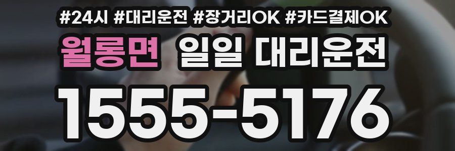 월롱면 일일 대리운전