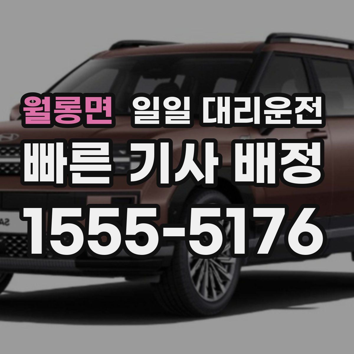 월롱면 일일 대리운전