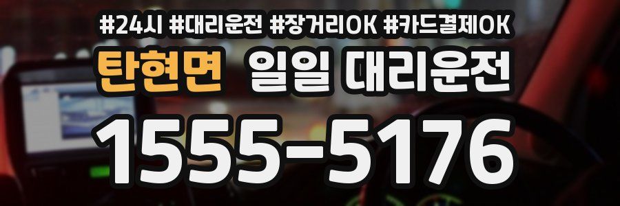 탄현면 일일 대리운전