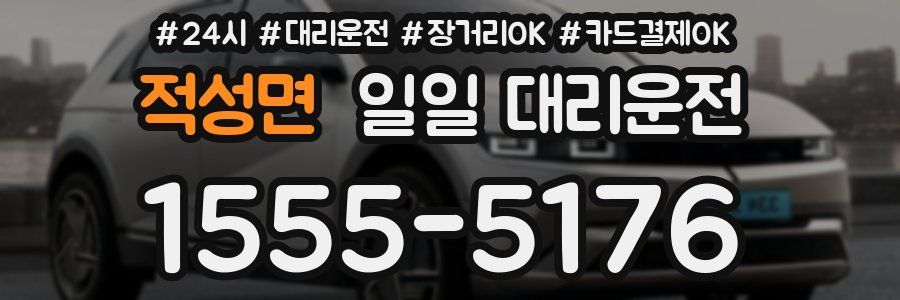 적성면 일일 대리운전