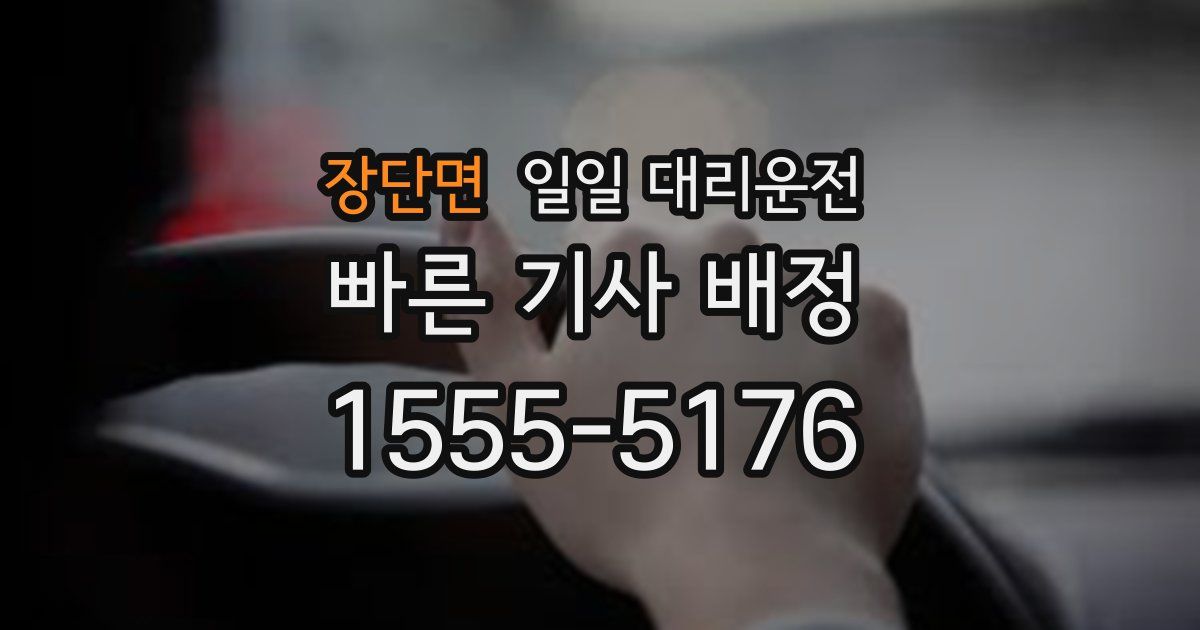 장단면 일일 대리운전