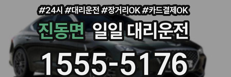 진동면 일일 대리운전