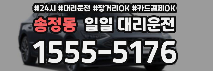 송정동 일일 대리운전