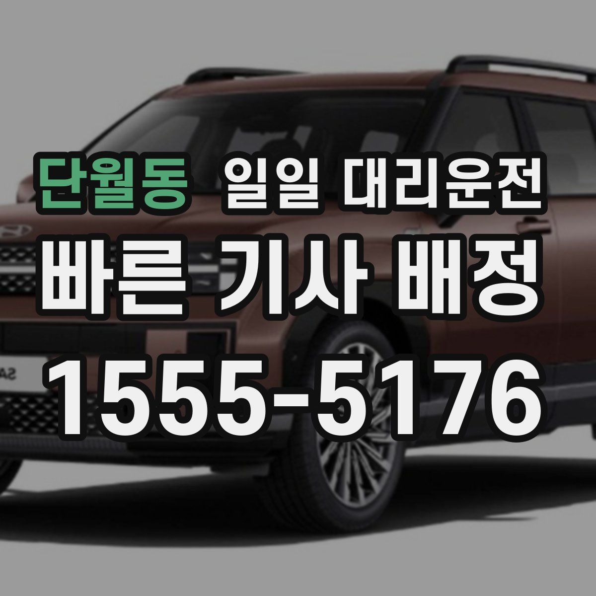 단월동 일일 대리운전