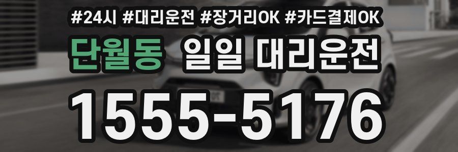 단월동 일일 대리운전