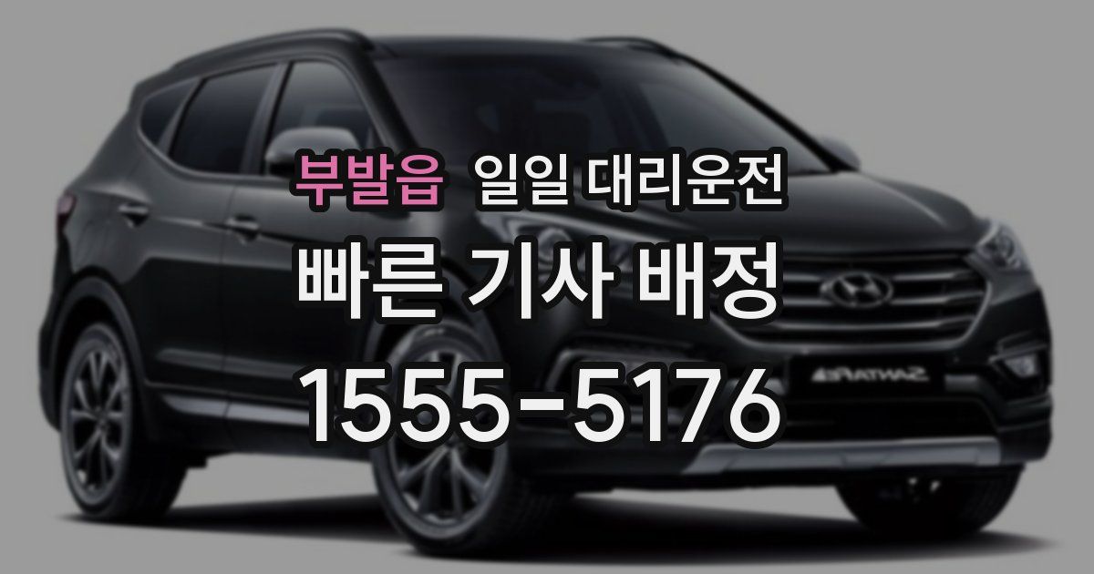 부발읍 일일 대리운전