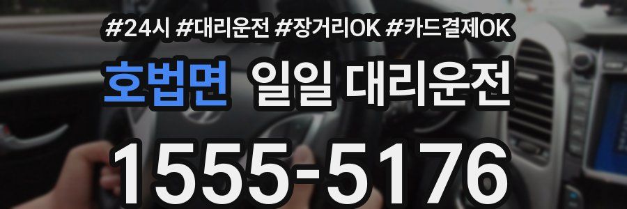 호법면 일일 대리운전