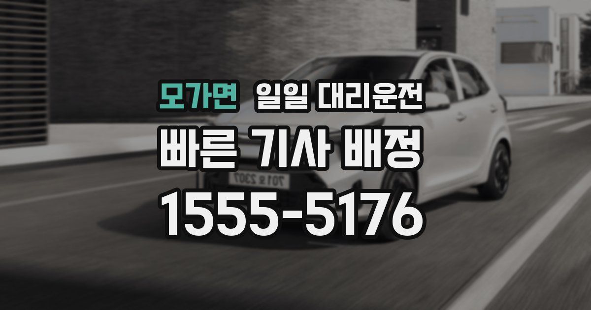 모가면 일일 대리운전
