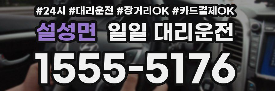 설성면 일일 대리운전