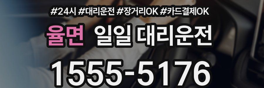 율면 일일 대리운전
