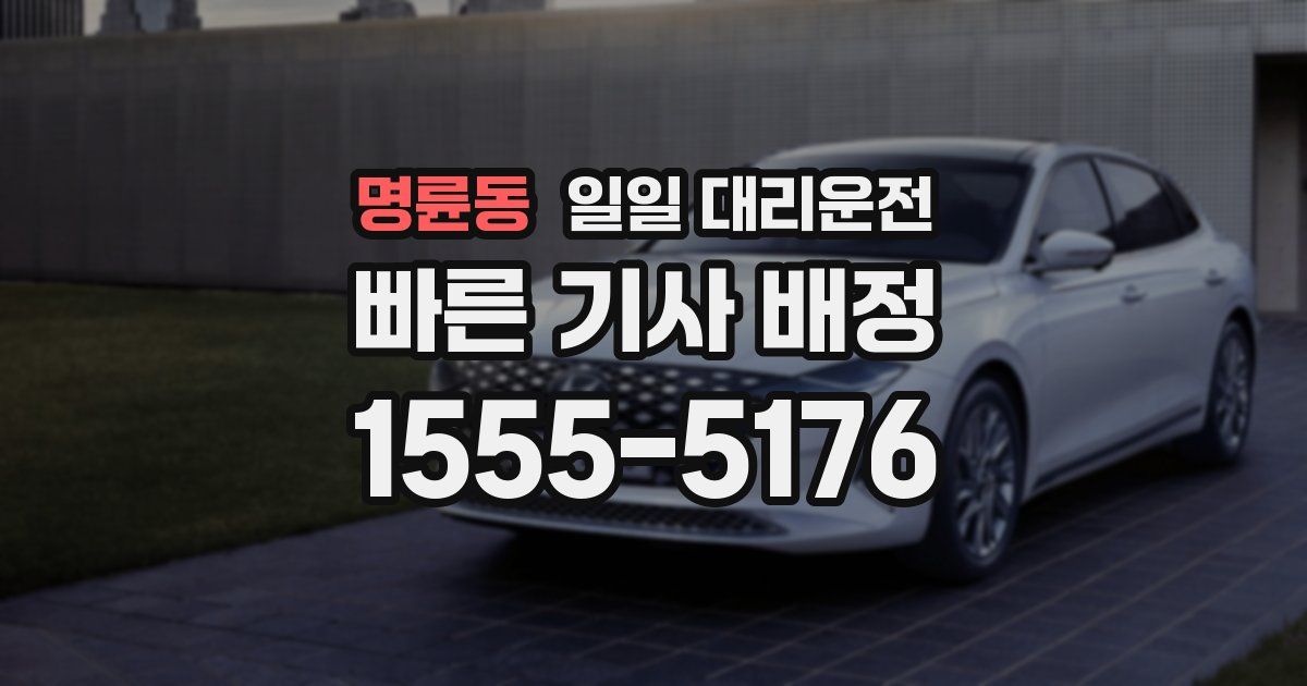 명륜동 일일 대리운전
