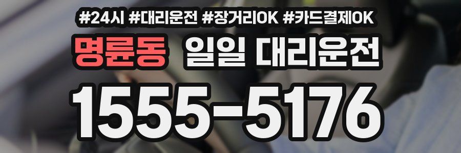 명륜동 일일 대리운전