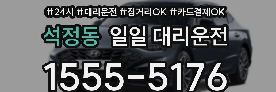 석정동 일일 대리운전