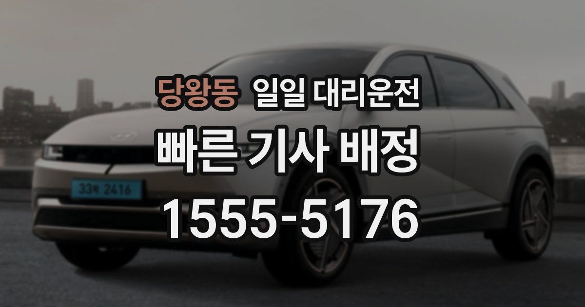 당왕동 일일 대리운전