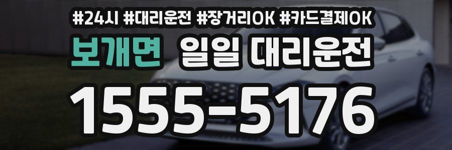 보개면 일일 대리운전