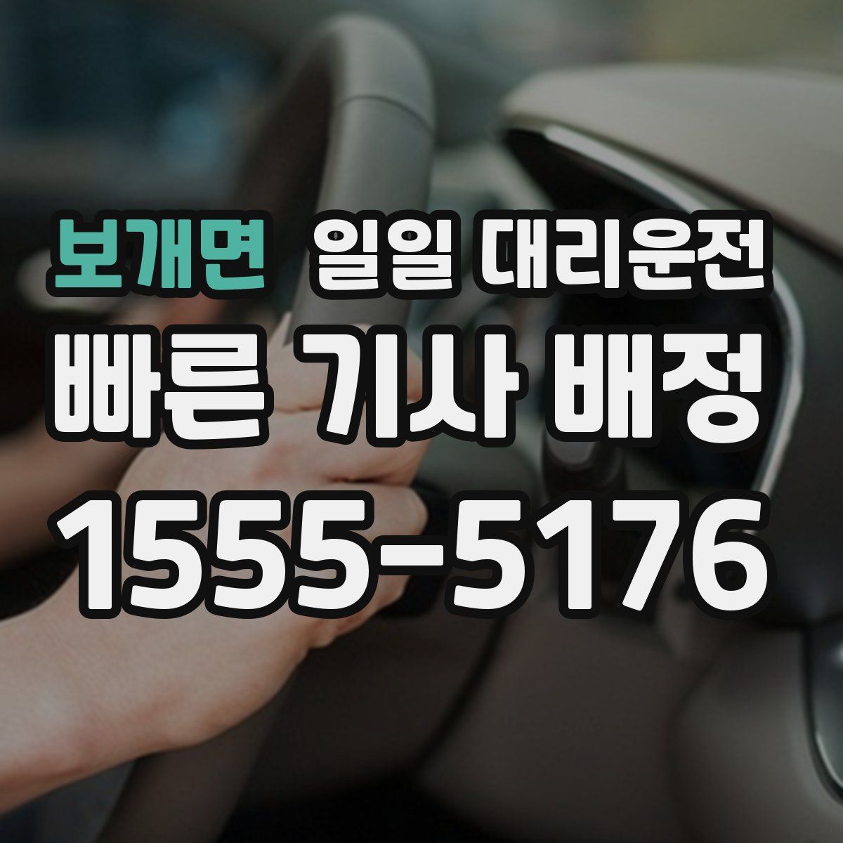 보개면 일일 대리운전