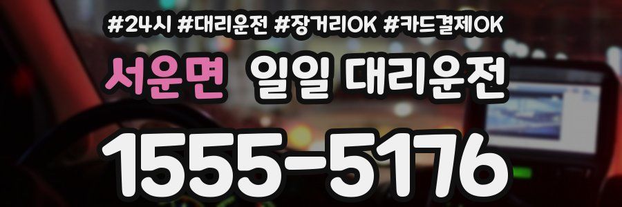 서운면 일일 대리운전