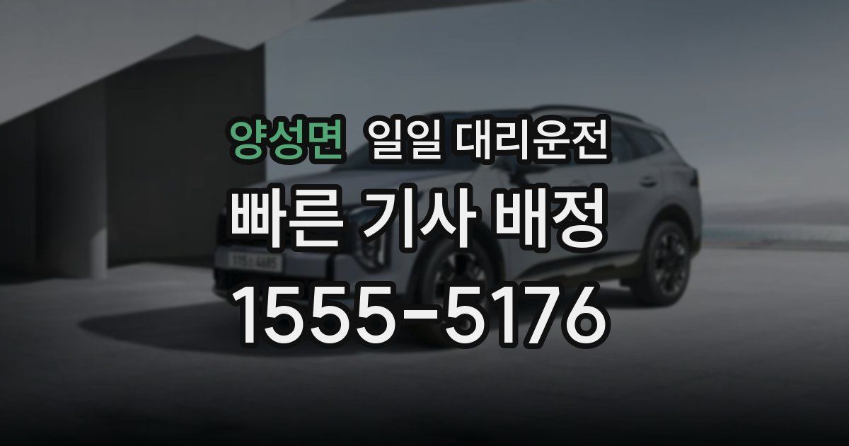 양성면 일일 대리운전