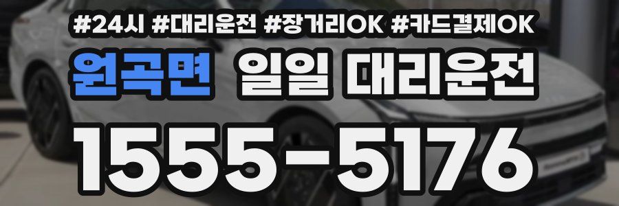 원곡면 일일 대리운전
