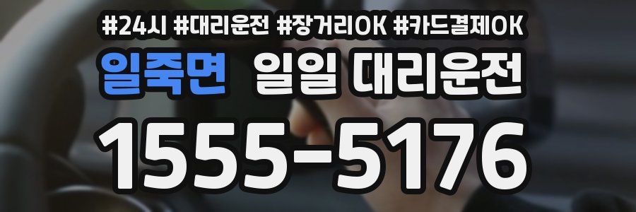 일죽면 일일 대리운전