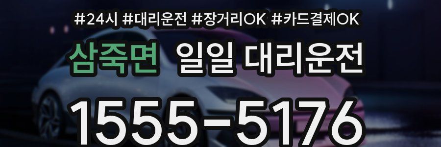 삼죽면 일일 대리운전