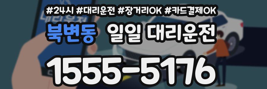 북변동 일일 대리운전