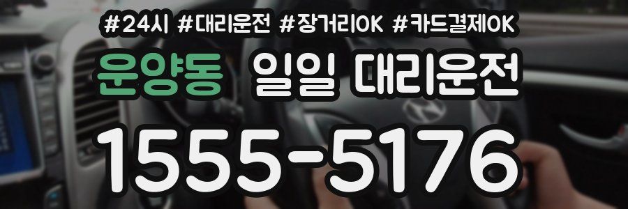 운양동 일일 대리운전