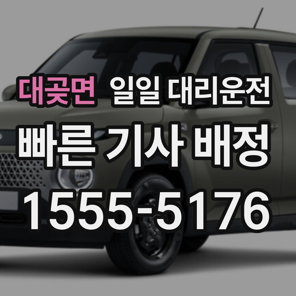 대곶면 일일 대리운전