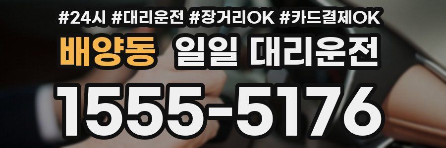 배양동 일일 대리운전