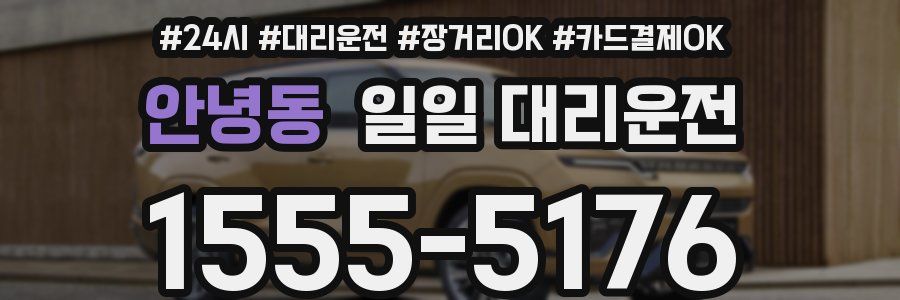 안녕동 일일 대리운전