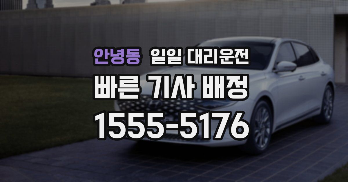 안녕동 일일 대리운전