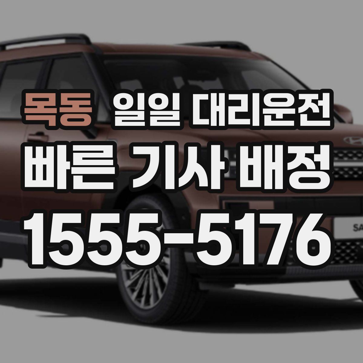 목동 일일 대리운전