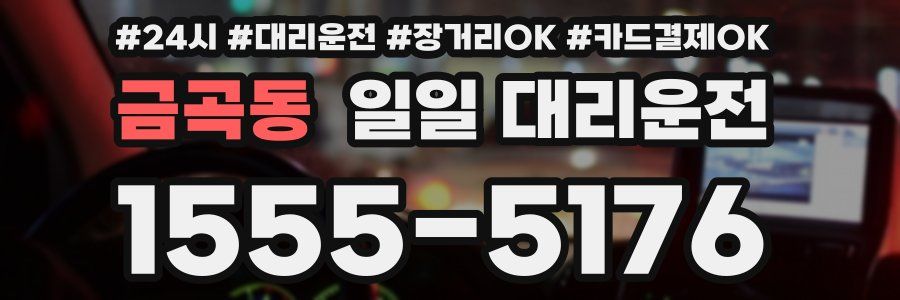 금곡동 일일 대리운전