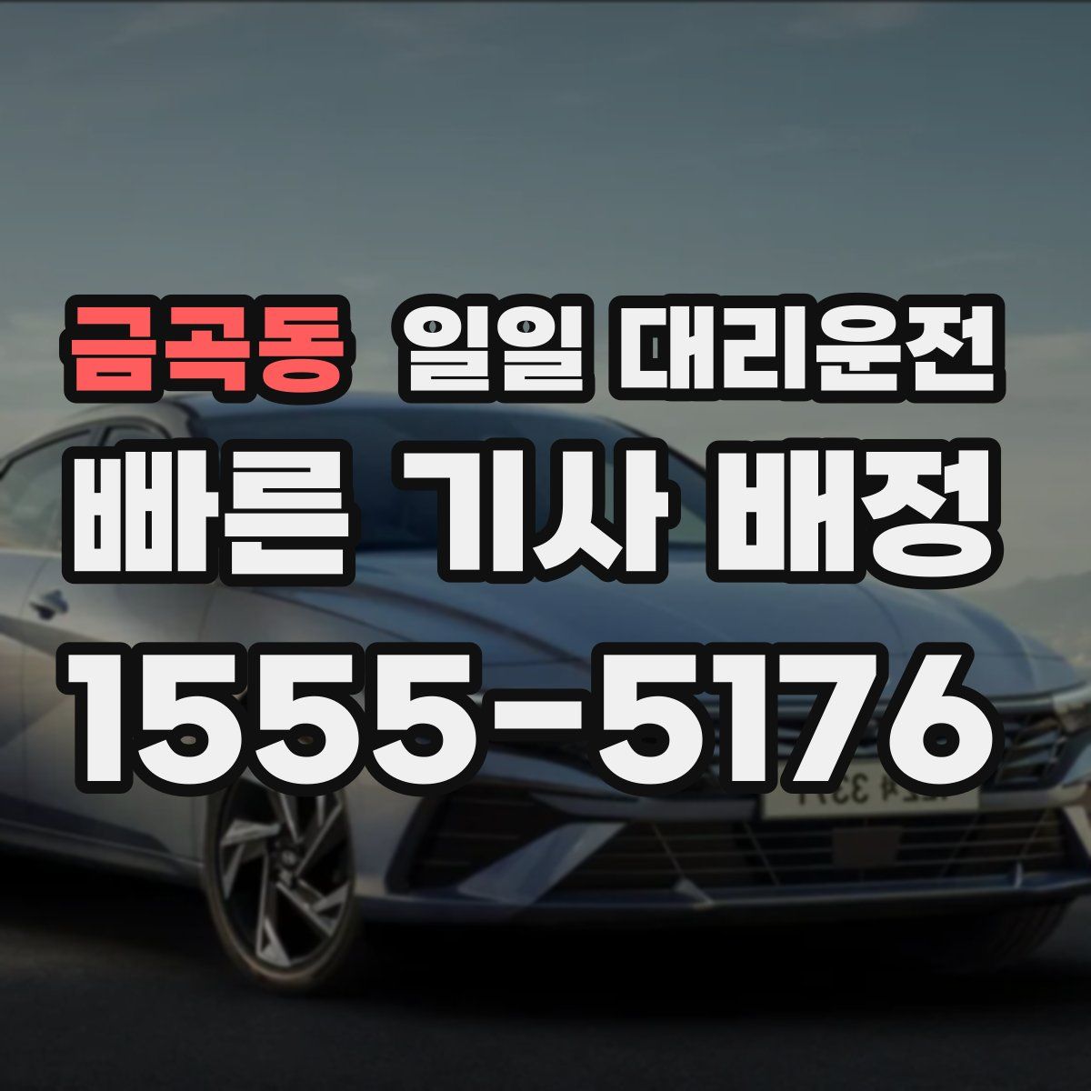 금곡동 일일 대리운전