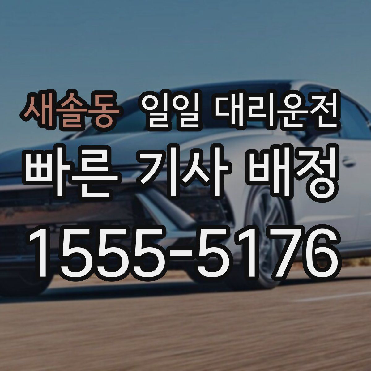새솔동 일일 대리운전