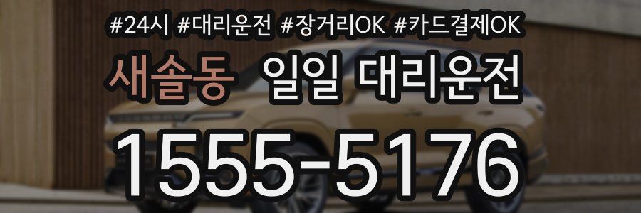 새솔동 일일 대리운전