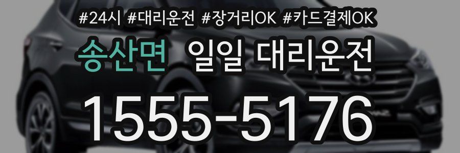 송산면 일일 대리운전