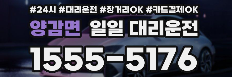 양감면 일일 대리운전