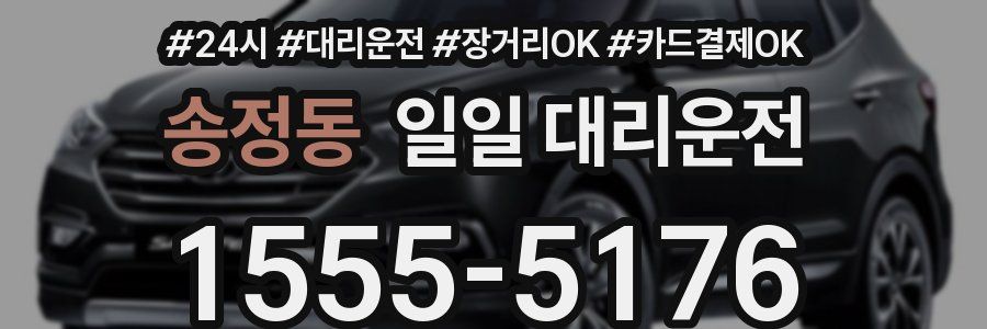 송정동 일일 대리운전
