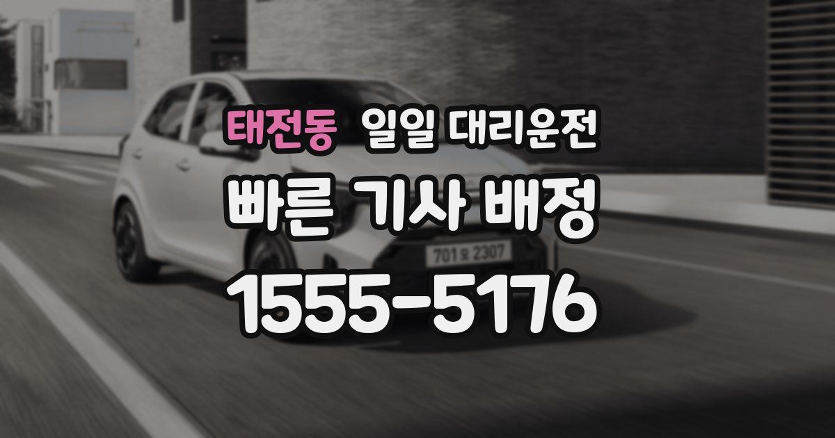 태전동 일일 대리운전