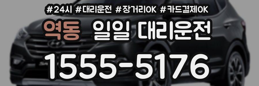 역동 일일 대리운전