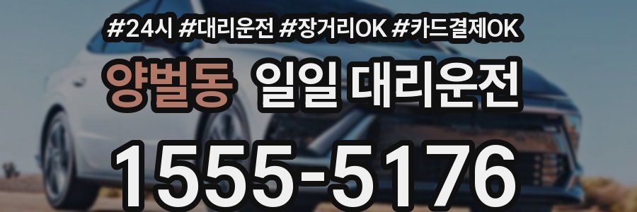 양벌동 일일 대리운전